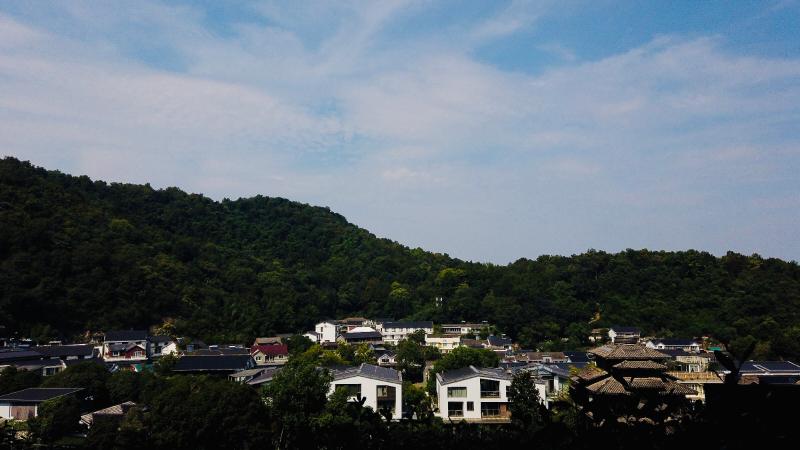 🧠1024 程序员节快乐：写在代码与理想之间