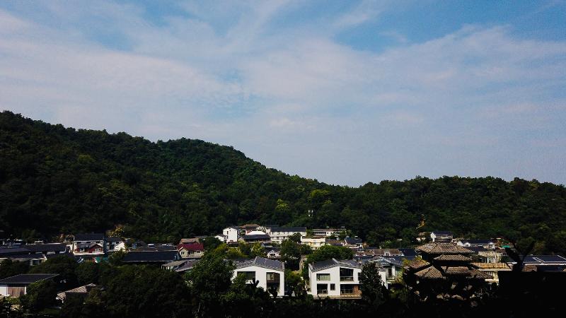 🧠1024 程序员节快乐：写在代码与理想之间